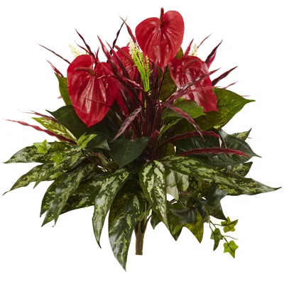 Homplanti 24" Mixed Anthurium Bush (set Of 2)