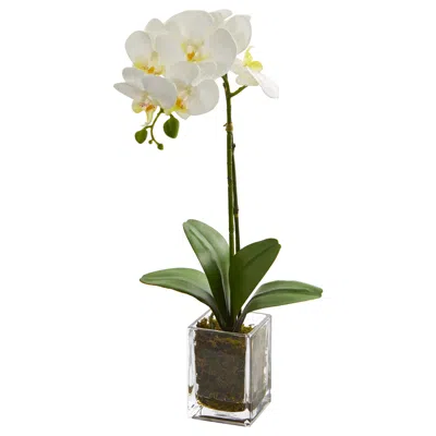 Homplanti 24" Orchid Phalaenopsis Artificial Arrangement In Vase