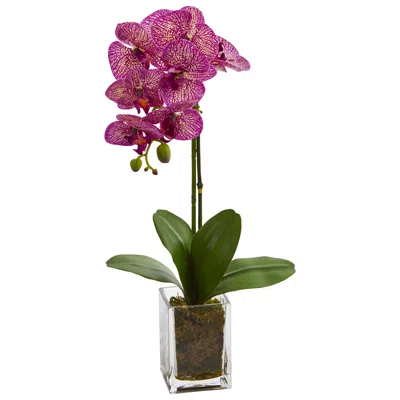 Homplanti 24" Orchid Phalaenopsis Artificial Arrangement In Vase In Transparent