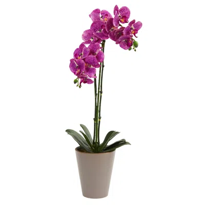 Homplanti 24" Speckled Phalaenopsis Orchid In Decorative Vase