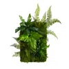 Homplanti 24" X 16" Mixed Foliage Artificial Living Wall