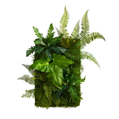 Homplanti 24" X 16" Mixed Foliage Artificial Living Wall