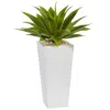 Homplanti 25" Agave In White Planter