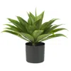 Homplanti 25" Agave W/plastic Pot