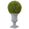 Homplanti 2.5' Boxwood Topiary With Urn (indoor/outdoor)