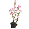 Homplanti 2.5' Cherry Blossom Artificial Plant