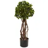 Homplanti 2.5' English Ivy Top Uv Resist W/468 Lvs (indoor/outdoor)