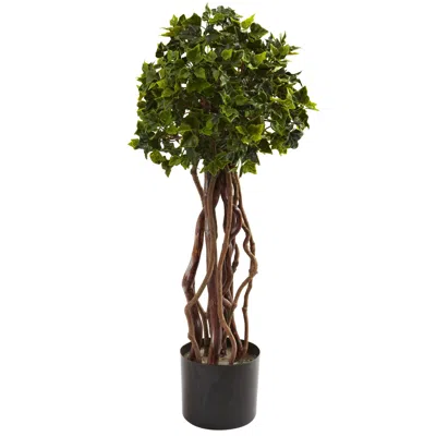 Homplanti 2.5' English Ivy Top Uv Resist W/468 Lvs (indoor/outdoor)