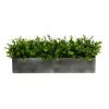 Homplanti 25" Eucalyptus Artificial Plant