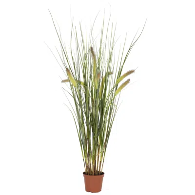 Homplanti 2.5' Grass Plant