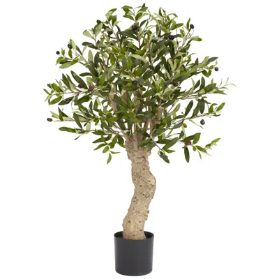 Homplanti 2.5' Olive Tree W/690 Lvs & 43 Berries