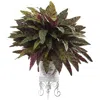 Homplanti 25" Peacock Bush With Metal Planter