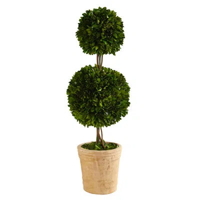 Homplanti 2.5' Preserved Boxwood Double Ball Topiary Tree In Planter In Green