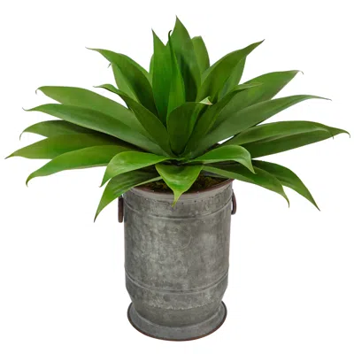 Homplanti 26" Agave Succulent Plant In Vintage Metal Planter