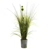 Homplanti 26" Grass & Dandelion W/cement Planter