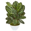 Homplanti 26" Maranta Artificial Plant In White Vase