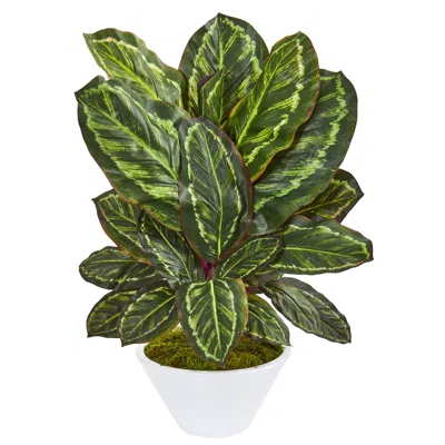 Homplanti 26" Maranta Artificial Plant In White Vase