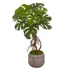 Homplanti 26" Monstera Artificial Plant In Stoneware Planter