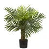 Homplanti 26" Robellini Palm Artificial Tree