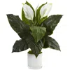 Homplanti 26" Spathifyllum In Glossy Glass Planter