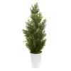 Homplanti 27" Mini Cedar Pine Tree In Planter (indoor/outdoor)