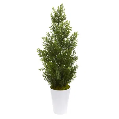Homplanti 27" Mini Cedar Pine Tree In Planter (indoor/outdoor)