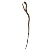 Homplanti 28'' Artificial Branch (set Of 12)