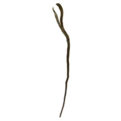 Homplanti 28'' Artificial Branch (set Of 12)