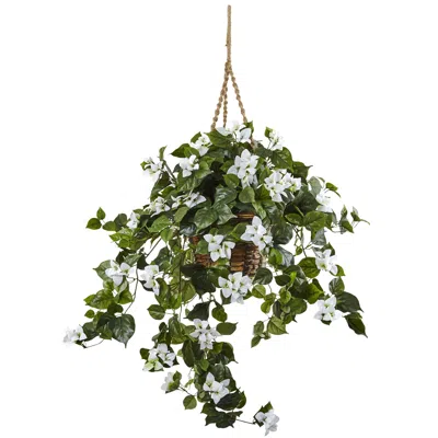 Homplanti 28" Bougainvillea Hanging Basket - White In Green