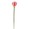 Homplanti 28" Calla Lily Artificial Flower (set Of 12)
