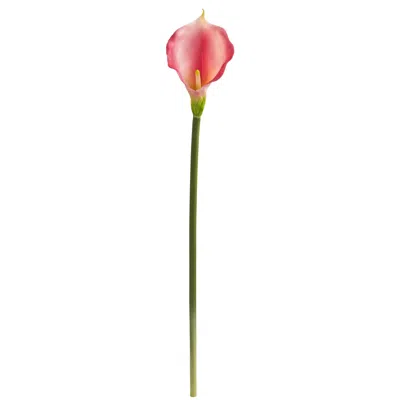 Homplanti 28" Calla Lily Artificial Flower (set Of 12) In Pink