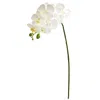 Homplanti 28" Phalaenopsis Orchid Artificial Flower (set Of 6)