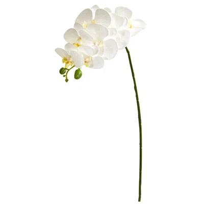 Homplanti 28" Phalaenopsis Orchid Artificial Flower (set Of 6)
