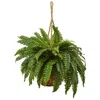 Homplanti 29" Boston Fern Hanging Basket