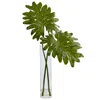 Homplanti 29" Philodendron In Cylinder Glass