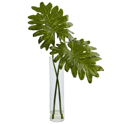Homplanti 29" Philodendron In Cylinder Glass In Transparent