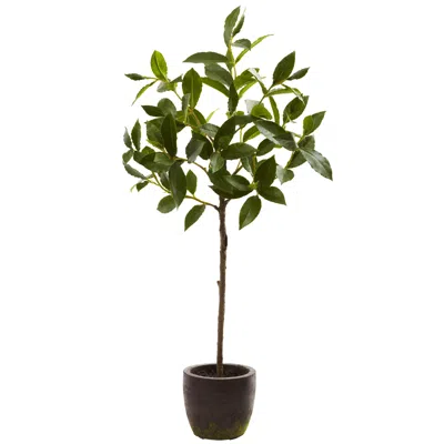 Homplanti 29'' Topiary W/decorative Planter