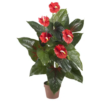 Homplanti 3' Anthurium Plant (real Touch)