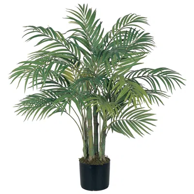 Homplanti 3' Areca Palm Tree X 7 W/536 Lvs