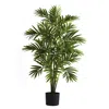 Homplanti 3' Areca Palm Tree X 9 W/513 Lvs