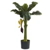 Homplanti 3' Banana Tree W/7 Lvs