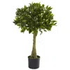 Homplanti 3' Bay Leaf Topiary Uv Resistant W/604 Lvs (indoor/outdoor)