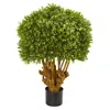 Homplanti 3' Boxwood Artificial Topiary Tree (indoor/outdoor)