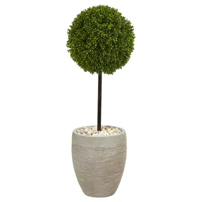 Homplanti 3' Boxwood Topiary Tree In Planter Uv Res(indoor/outdoor)
