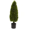 Homplanti 3' Boxwood Tower Top Uv Resist W/419 Lvs (indoor/outdoor)