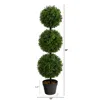 Homplanti 3' Boxwood Triple Ball Topiary Tree (indoor/outdoor)