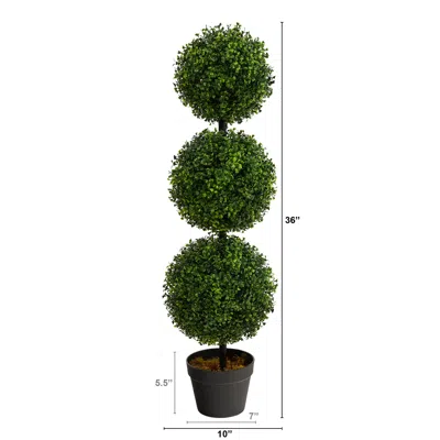 Homplanti 3' Boxwood Triple Ball Topiary Tree (indoor/outdoor)