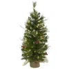 Homplanti 3' Christmas Tree W/berrs Burlap Bag 124 Tips & 50 Lights