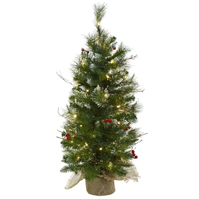 Homplanti 3' Christmas Tree W/berrs Burlap Bag 124 Tips & 50 Lights In Green