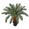 Homplanti 3' Cycas Artificial Tree
